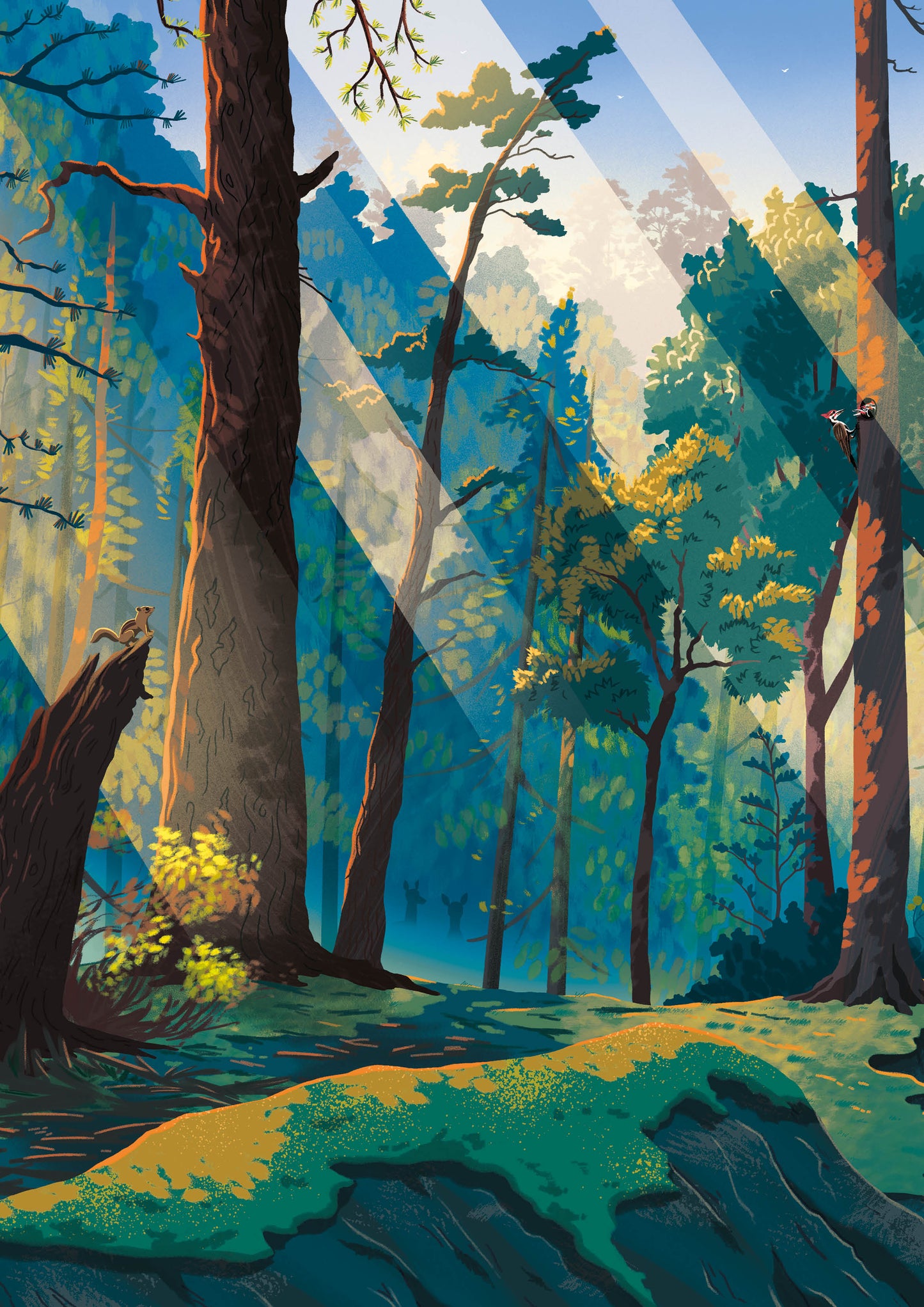 “Forest” Tom Cole UNFRAMED